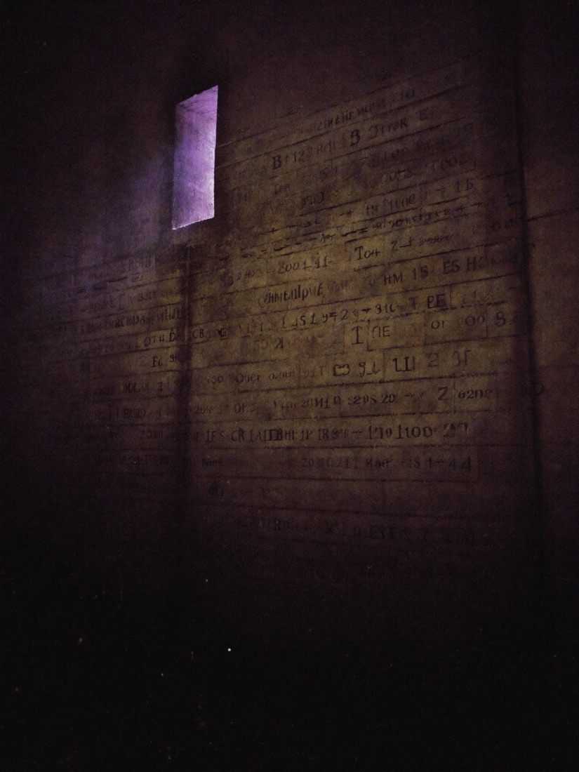 Cover of Revelation 20 and the Thousand Years